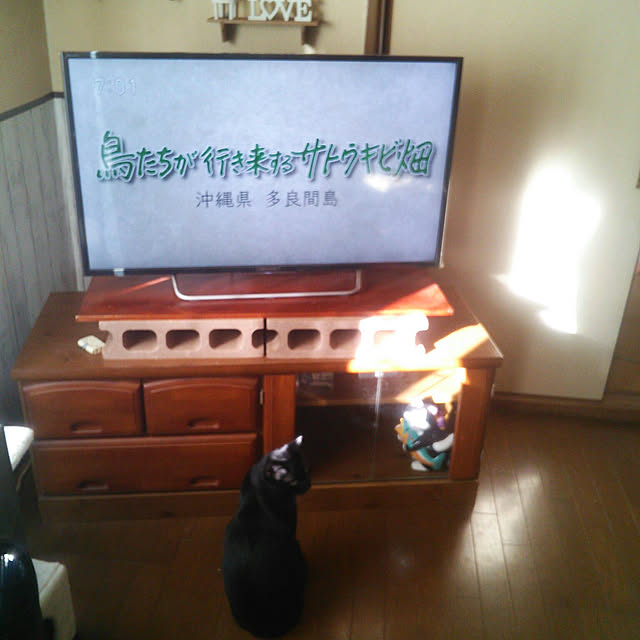 Tomopさんの実例写真