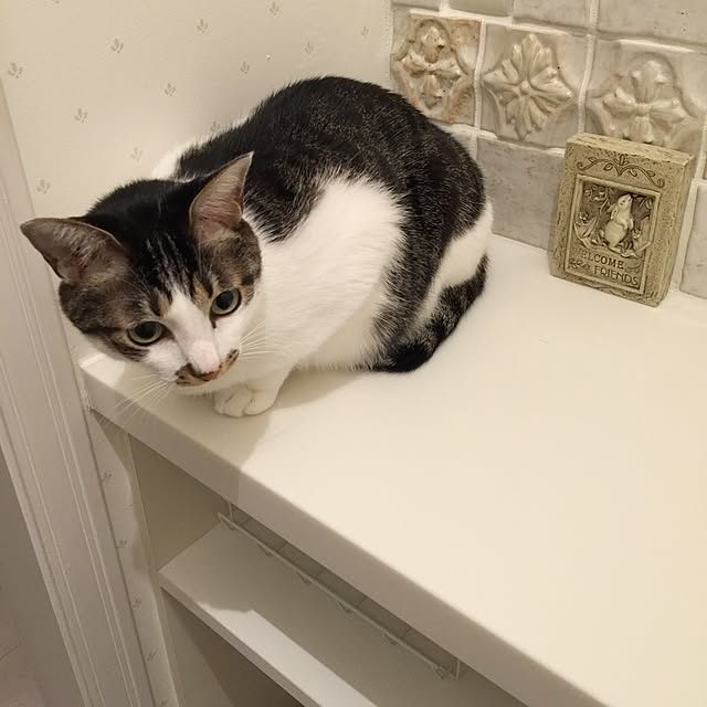 yuchiさんの実例写真