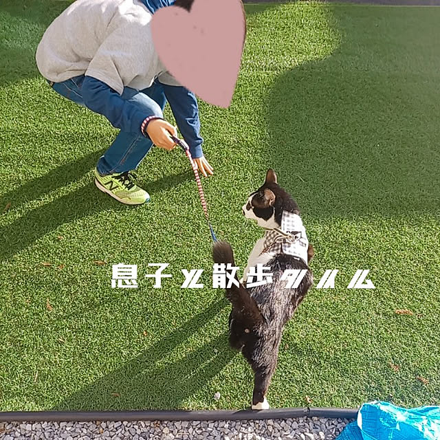 naomiさんの実例写真