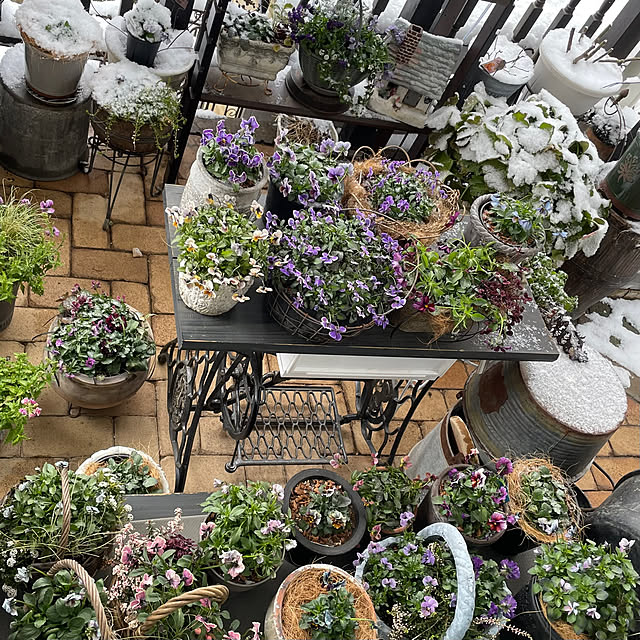 shiropenguinさんの部屋