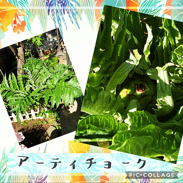 masu...さんの実例写真