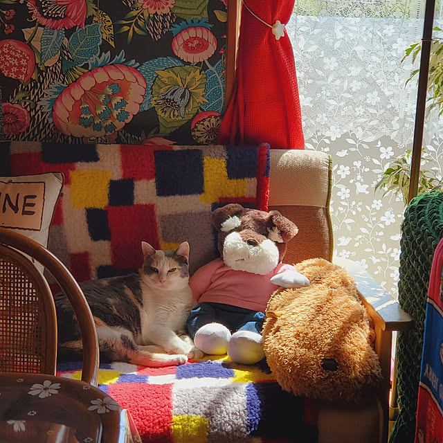 kumutanさんの実例写真