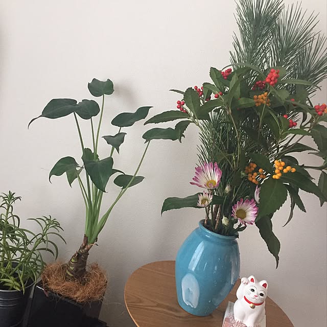 chamaさんの実例写真