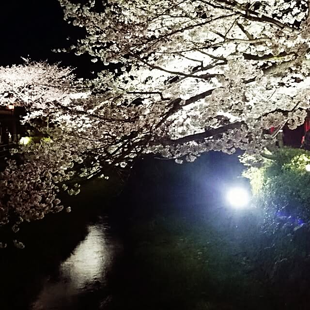 実例写真
