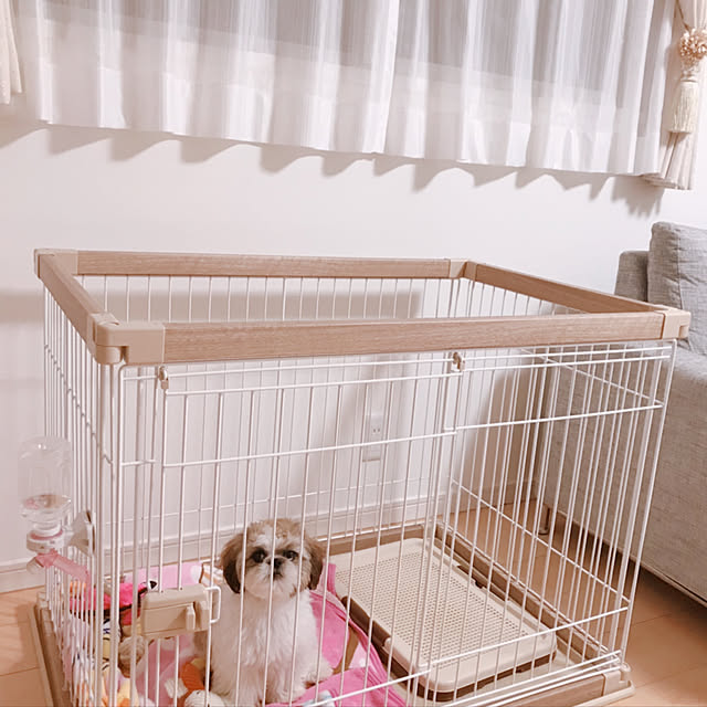 meme________chanさんの実例写真