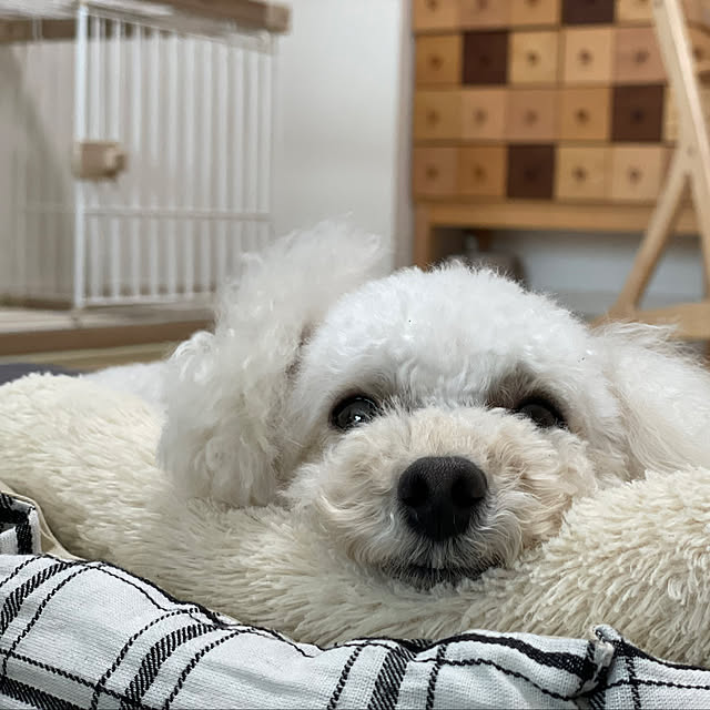 ma...さんの実例写真