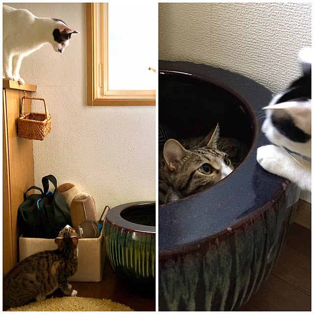 nobikoさんの実例写真