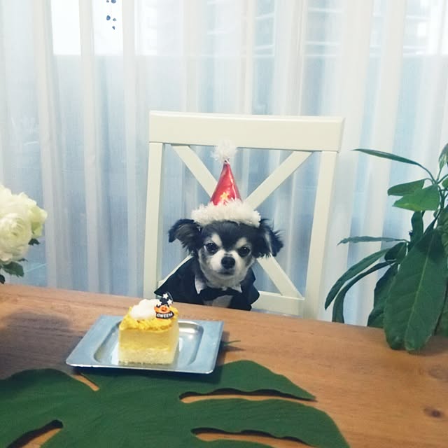 satominさんの実例写真