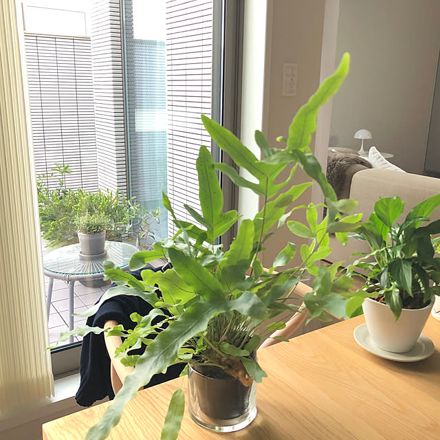 Rororiさんの部屋
