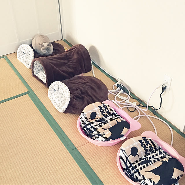 monkeymajimajikさんの実例写真
