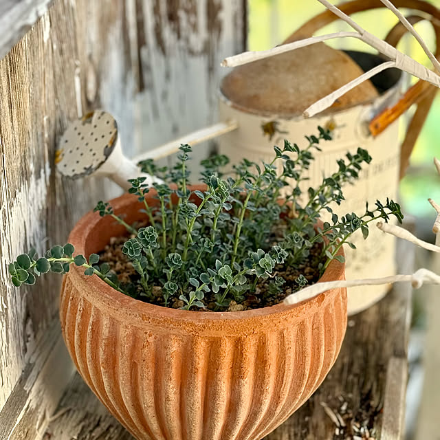 asako.10さんの部屋