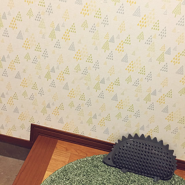 ikさんの実例写真