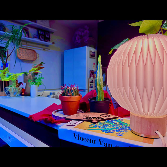 机/LE KLINT 375/LE KLINT/スマート電球/Philips Hue...などのインテリア実例 - 2023-11-24 02:26:17