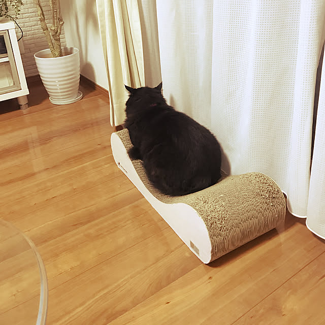 minamiさんの実例写真