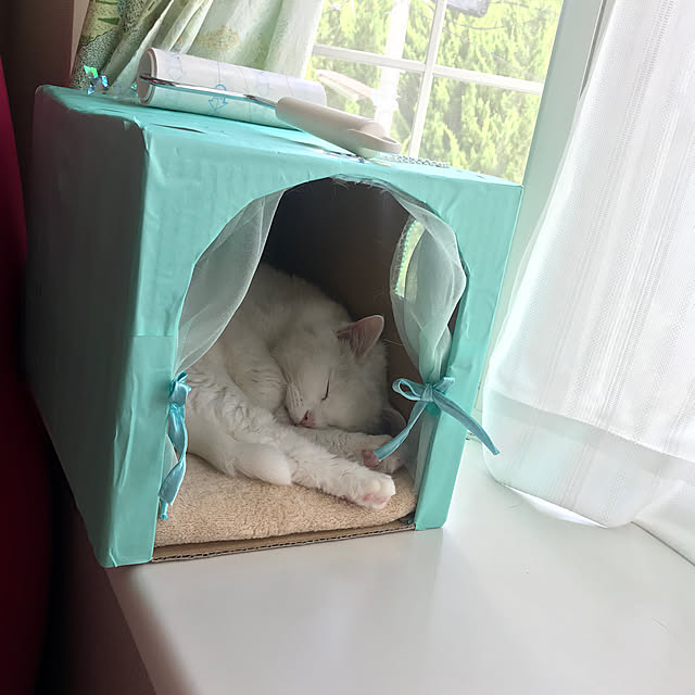 Yuzuさんの実例写真