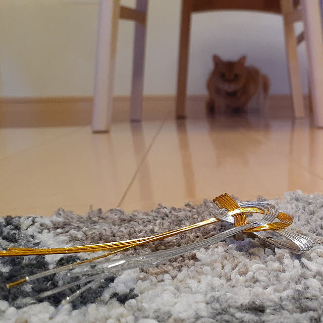 amtさんの実例写真