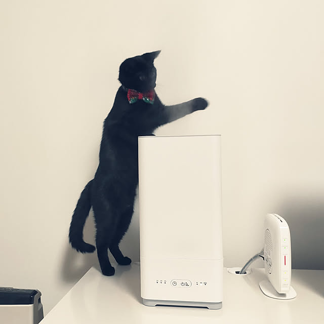sakuraさんの実例写真