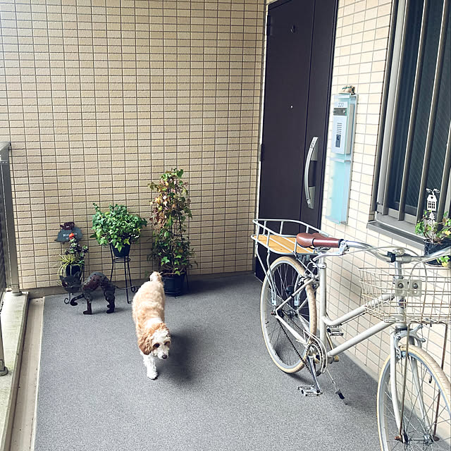 marukoさんの実例写真
