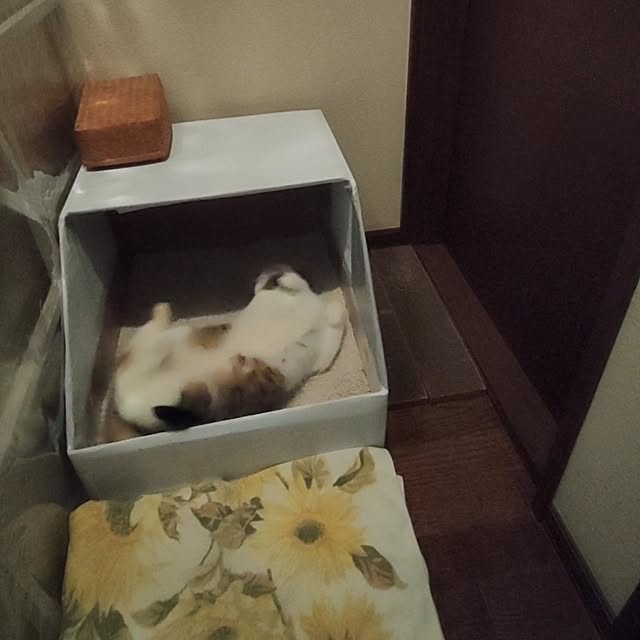 mori_6_12さんの部屋
