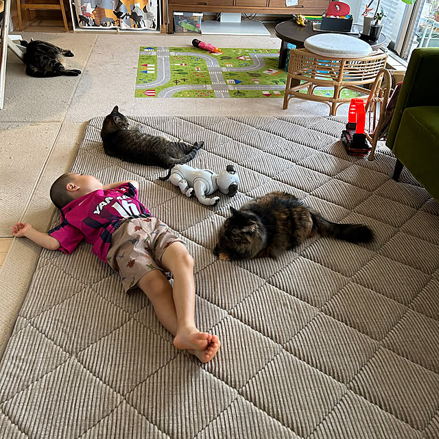 mikomaruさんの部屋