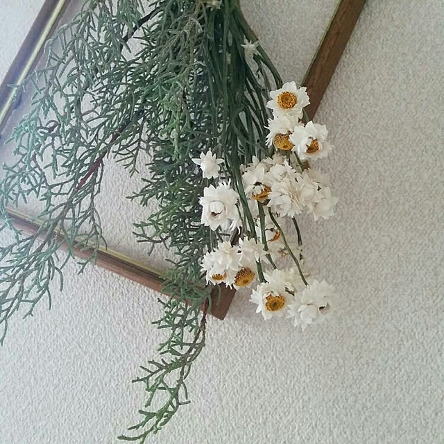 manaさんの実例写真