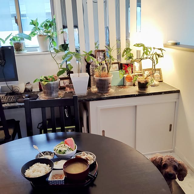 MOMOMAMAさんの実例写真