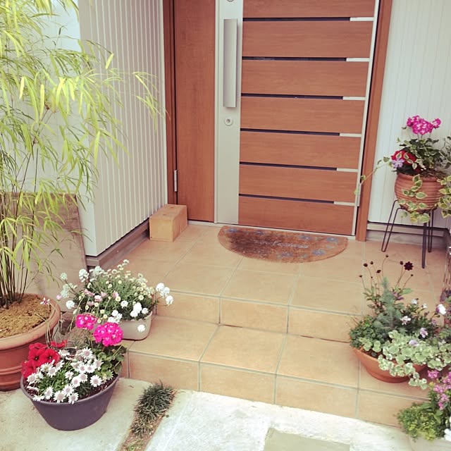 nohaさんの実例写真
