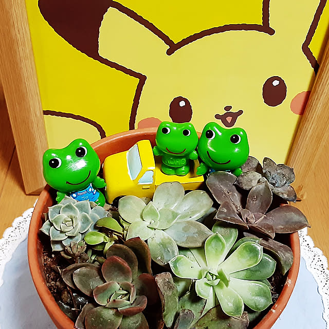 katさんの実例写真