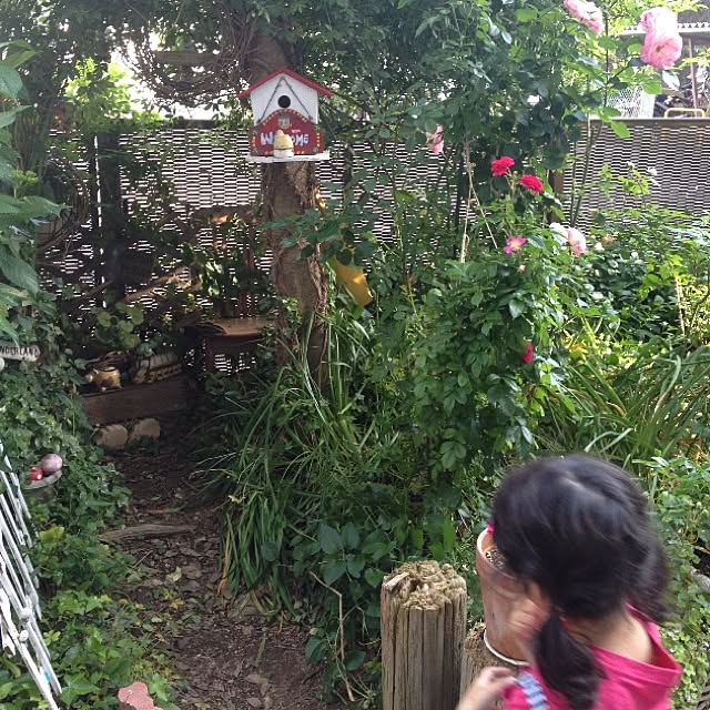 terujiloveさんの実例写真