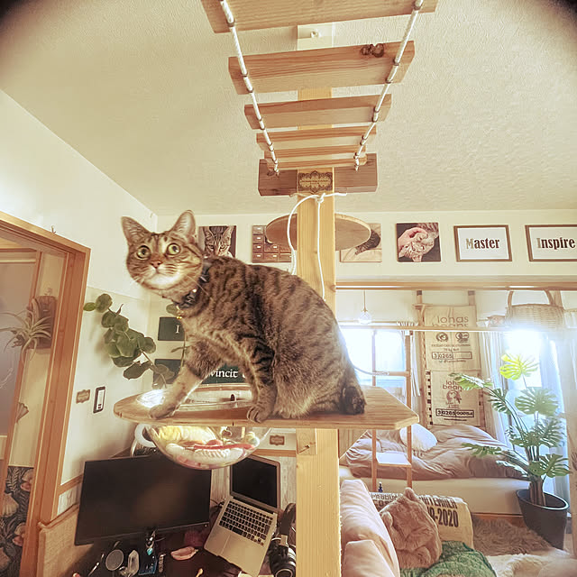 Mさんの部屋