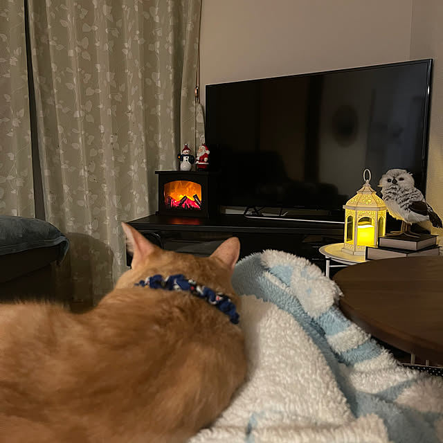 chiiさんのお部屋の写真