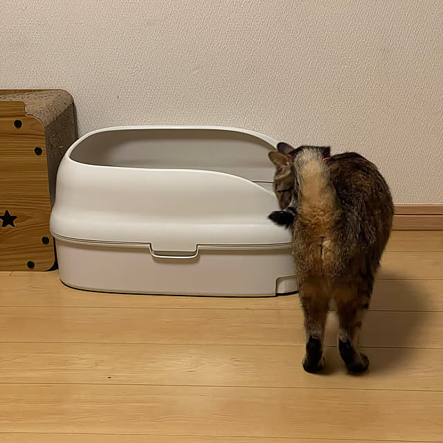chiiさんの部屋