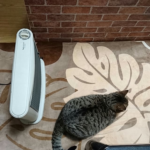 berariさんの実例写真