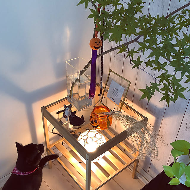 nekomiさんの実例写真