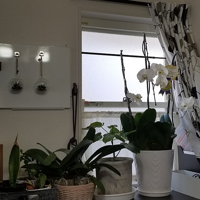 korokoroさんの実例写真