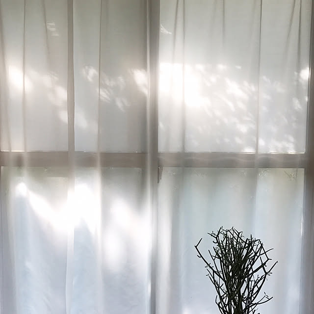 tocoriさんの実例写真