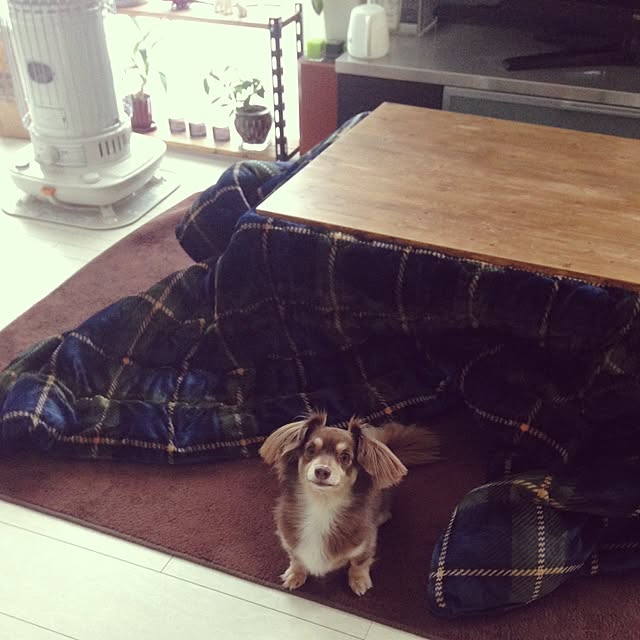rikakoさんの実例写真