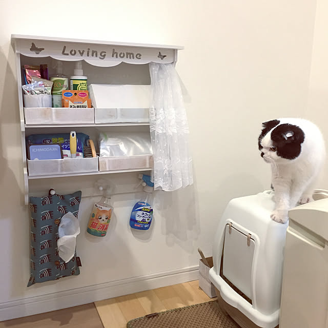 pinaminさんの実例写真