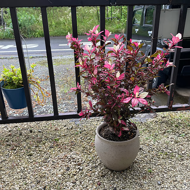 shin0719さんの実例写真