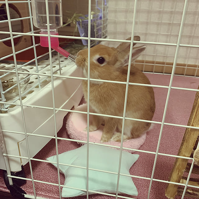 monacococoさんの実例写真