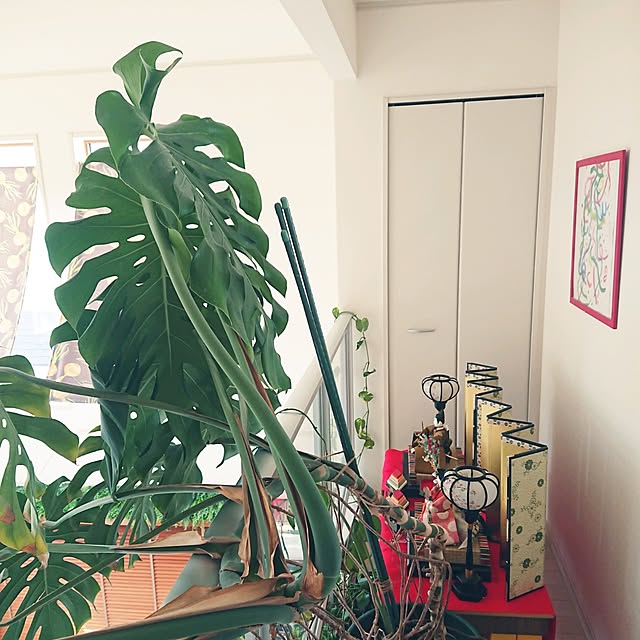 urchinさんの部屋
