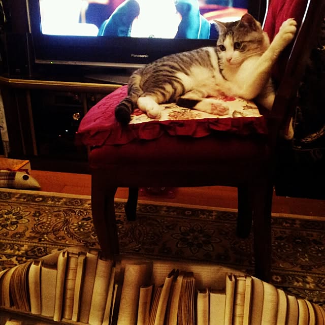 emmyyさんの実例写真