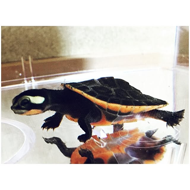 Wさんの実例写真