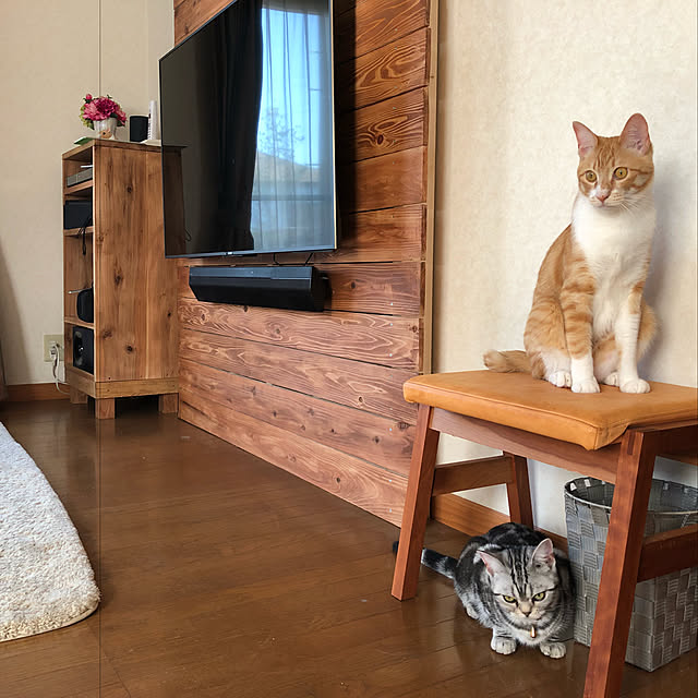 cafe_yoshiさんの実例写真