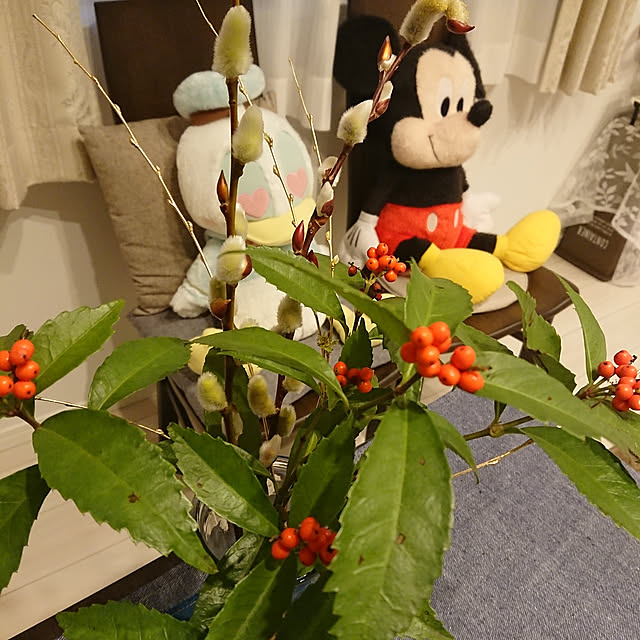 totoroさんの実例写真