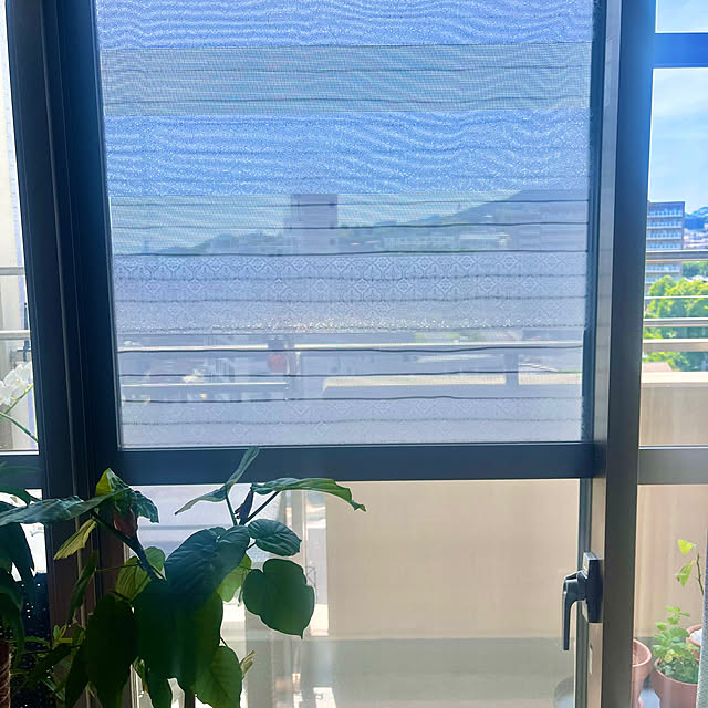 HITOさんの部屋