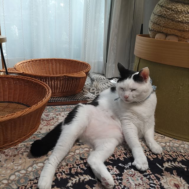 yuuさんの実例写真