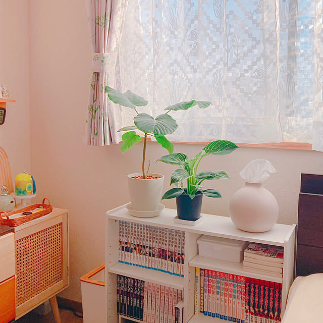 yuyuさんの部屋