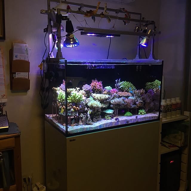 aquarium_seaさんの実例写真