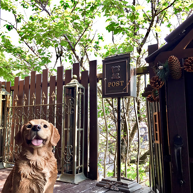 RIERINさんの実例写真